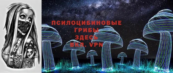 ГАЛЛЮЦИНОГЕННЫЕ ГРИБЫ Заволжск