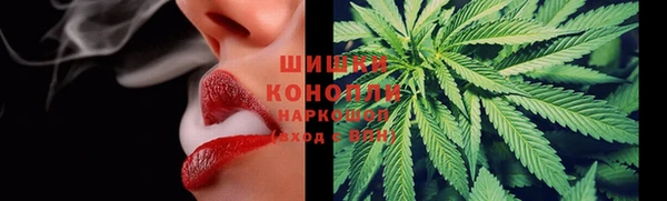 ГАЛЛЮЦИНОГЕННЫЕ ГРИБЫ Заволжск
