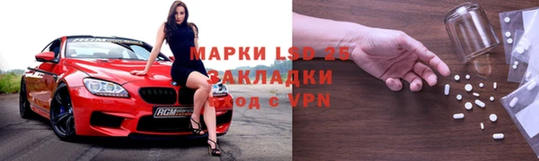 ГАЛЛЮЦИНОГЕННЫЕ ГРИБЫ Заводоуковск