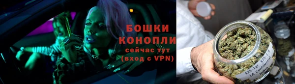 ГАЛЛЮЦИНОГЕННЫЕ ГРИБЫ Заволжск