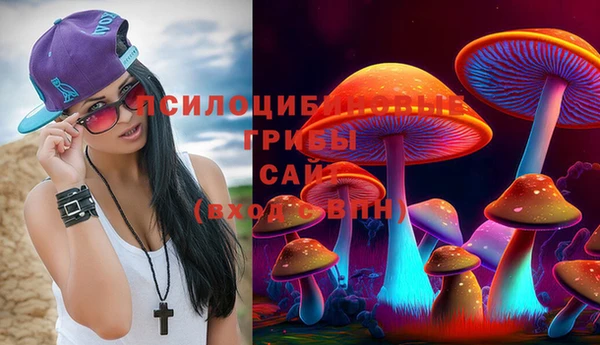 ГАЛЛЮЦИНОГЕННЫЕ ГРИБЫ Заводоуковск