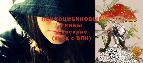 ГАЛЛЮЦИНОГЕННЫЕ ГРИБЫ Заволжск