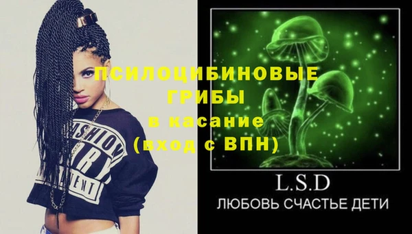ГАЛЛЮЦИНОГЕННЫЕ ГРИБЫ Заволжск