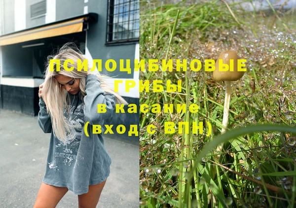 ешки Заволжье