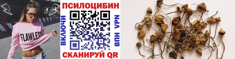 Галлюциногенные грибы прущие грибы  Купить закладки  Нурлат 